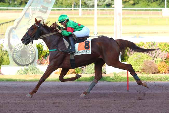Photo d'arrivée de la course pmu PRIX DES HELIANTHES à CABOURG le Vendredi 2 août 2024