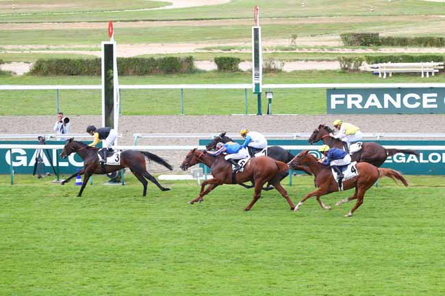 Photo d'arrivée de la course pmu PRIX MICHEL HOUYVET à DEAUVILLE le Samedi 3 août 2024