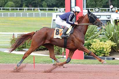 Photo d'arrivée de la course pmu PRIX DE MONTEVRAIN à ENGHIEN le Samedi 3 août 2024