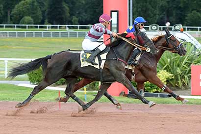 Photo d'arrivée de la course pmu PRIX DE CHAUDES-AIGUES à ENGHIEN le Samedi 3 août 2024