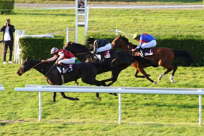 Photo d'arrivée de la course pmu PRIX GENYBET GEANT (PRIX MICHEL D'AREXY - CHALLENGE DE L'OBSTACLE WTW HIPCOVER) à CLAIREFONTAINE le Lundi 5 août 2024