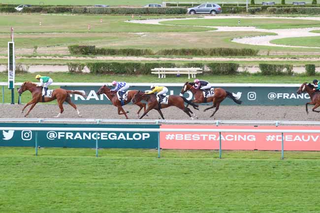 Photo d'arrivée de la course pmu PRIX DE COLLETOT à DEAUVILLE le Jeudi 8 août 2024