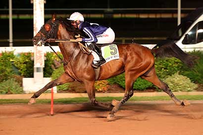 Photo d'arrivée de la course pmu PRIX DES IFS à CABOURG le Vendredi 9 août 2024