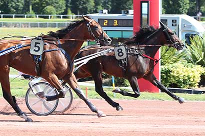 Photo d'arrivée de la course pmu PRIX DE LA PORTE DE CLICHY à ENGHIEN le Samedi 10 août 2024