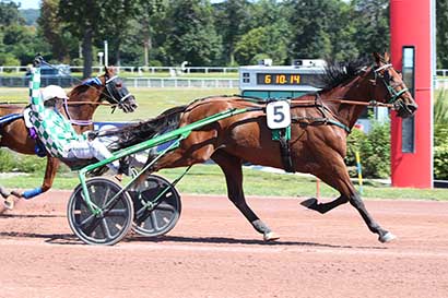 Photo d'arrivée de la course pmu PRIX DE L'HOTEL DE VILLE à ENGHIEN le Samedi 10 août 2024