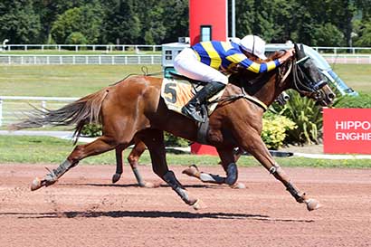 Photo d'arrivée de la course pmu PRIX DE CHATOU à ENGHIEN le Dimanche 11 août 2024
