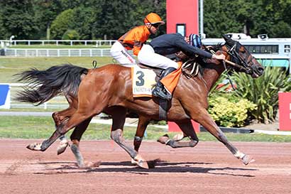 Photo d'arrivée de la course pmu PRIX DE LONDRES à ENGHIEN le Dimanche 11 août 2024
