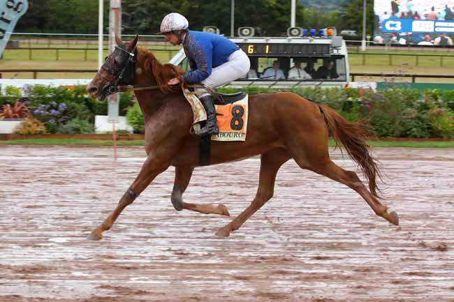 Photo d'arrivée de la course pmu PRIX DE CHERBOURG-EN-COTENTIN à CABOURG le Vendredi 16 août 2024