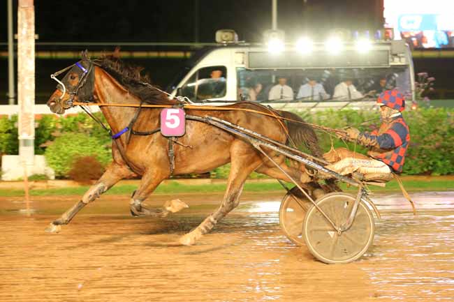 Photo d'arrivée de la course pmu PRIX DE CARENTAN à CABOURG le Vendredi 16 août 2024