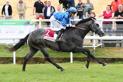 Photo d'arrivée de la course pmu PRIX PARIS HIPPIQUES EN LIGNE GENYBET (PRIX MOLVEDO) à CLAIREFONTAINE le Vendredi 16 août 2024