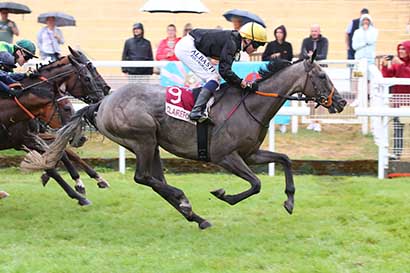 Photo d'arrivée de la course pmu PRIX FESTIVAL MANGA - XPPEN (PRIX DES TOITS DE CHAUME) à CLAIREFONTAINE le Vendredi 16 août 2024