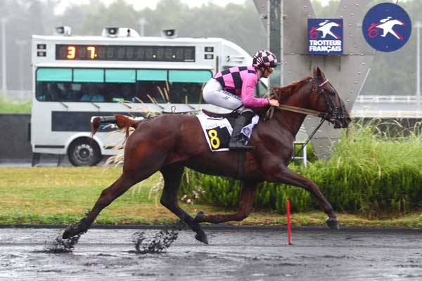 Photo d'arrivée de la course pmu PRIX LEGOUX-LONGPRE à PARIS-VINCENNES le Samedi 17 août 2024