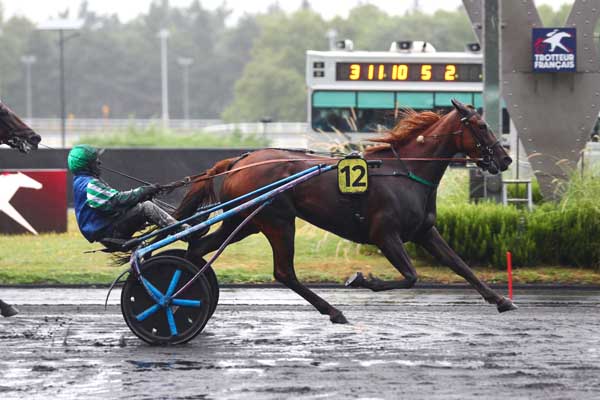 Photo d'arrivée de la course pmu PRIX REINE DU CORTA - CRITERIUM 3 ANS Q1 à PARIS-VINCENNES le Samedi 17 août 2024