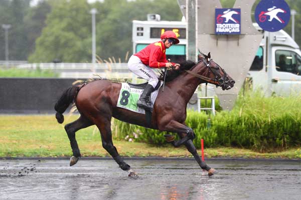 Photo d'arrivée de la course pmu PRIX DE BARBEZIEUX à PARIS-VINCENNES le Samedi 17 août 2024
