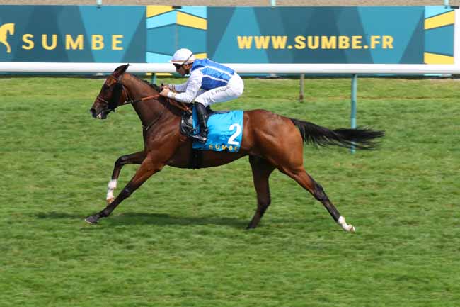 Photo d'arrivée de la course pmu SUMBE PRIX KERGORLAY à DEAUVILLE le Dimanche 18 août 2024