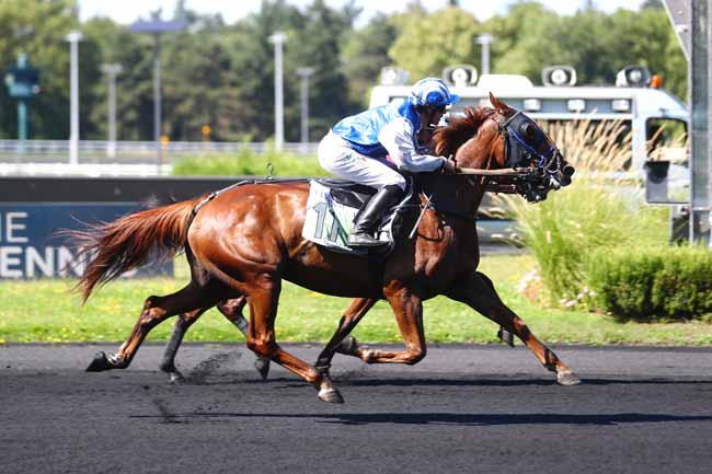 Photo d'arrivée de la course pmu PRIX DE PERPIGNAN à PARIS-VINCENNES le Mercredi 28 août 2024