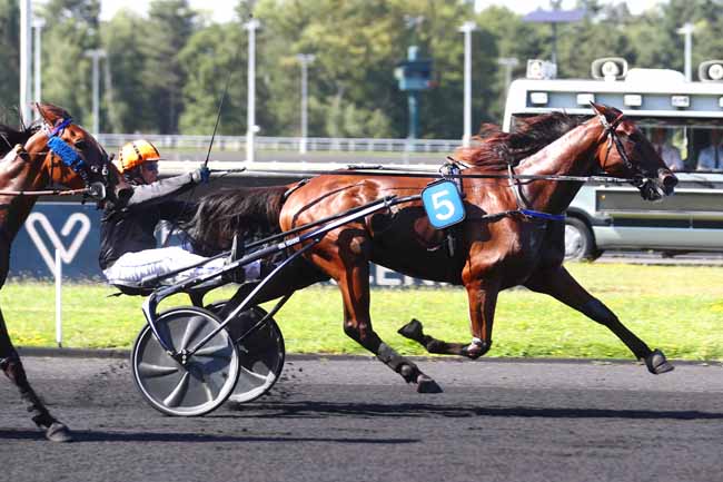 Photo d'arrivée de la course pmu PRIX DE VIMOUTIERS à PARIS-VINCENNES le Mercredi 28 août 2024