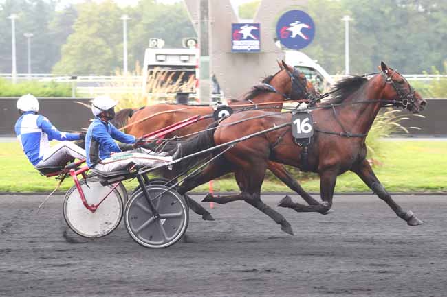 Photo d'arrivée de la course pmu PRIX DE MOLAY à PARIS-VINCENNES le Samedi 31 août 2024