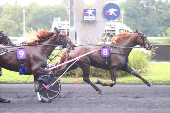 Photo d'arrivée de la course pmu PRIX J. DE VAULOGE-CRITERIUM 3 ANS Q4 à PARIS-VINCENNES le Samedi 31 août 2024