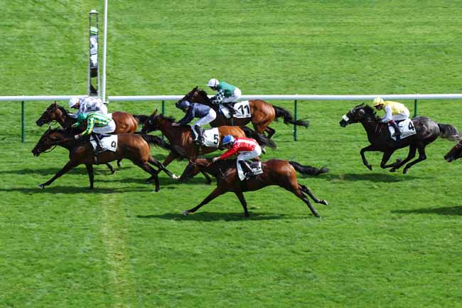 Photo d'arrivée de la course pmu DARLEY PRIX JOUBERT à LONGCHAMP le Dimanche 1 septembre 2024