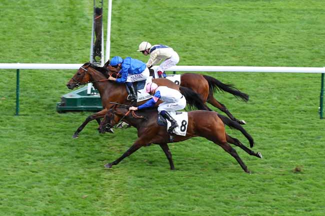 Photo d'arrivée de la course pmu PRIX DE LA COCHERE - FONDS EUROPEEN DE L'ELEVAGE à LONGCHAMP le Dimanche 1 septembre 2024