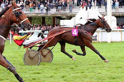 Photo d'arrivée de la course pmu PRIX INTERMEDE (PRIX DIRICKX) à CRAON le Lundi 2 septembre 2024