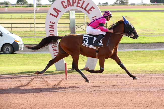 Photo d'arrivée de la course pmu PRIX GROUPE LANIE 02 à LA CAPELLE le Mercredi 4 septembre 2024