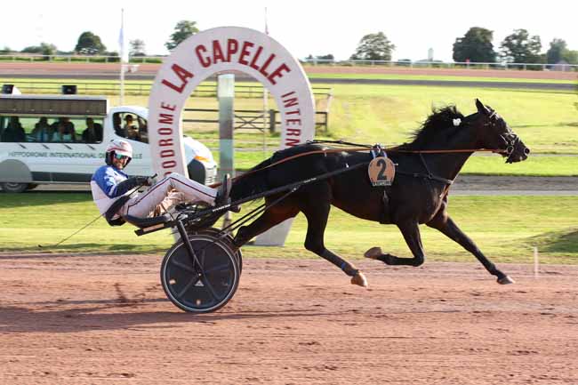 Photo d'arrivée de la course pmu PRIX DU CREDIT AGRICOLE NORD-EST à LA CAPELLE le Mercredi 4 septembre 2024