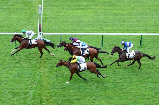 Photo d'arrivée de la course pmu PRIX DE LORMOY à LONGCHAMP le Jeudi 5 septembre 2024