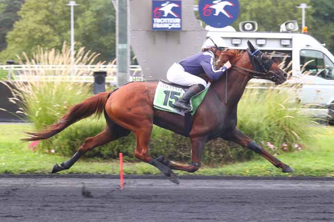 Photo d'arrivée de la course pmu PRIX ANDRE ROUER à PARIS-VINCENNES le Jeudi 5 septembre 2024