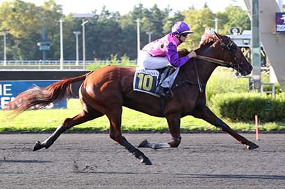 Photo d'arrivée de la course pmu PRIX CONCORDIA à PARIS-VINCENNES le Vendredi 6 septembre 2024