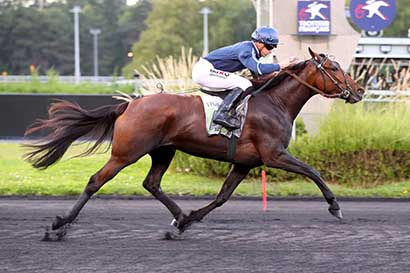 Photo d'arrivée de la course pmu PRIX CAMILLE DE WAZIERES à PARIS-VINCENNES le Vendredi 6 septembre 2024