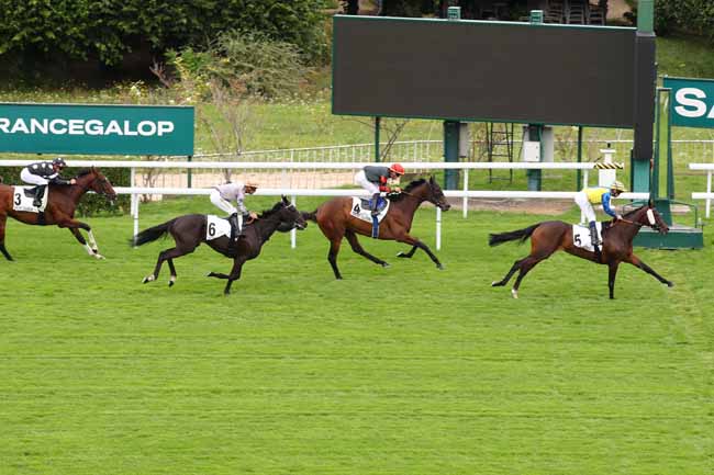 Photo d'arrivée de la course pmu PRIX PLEBEN à SAINT CLOUD le Vendredi 6 septembre 2024