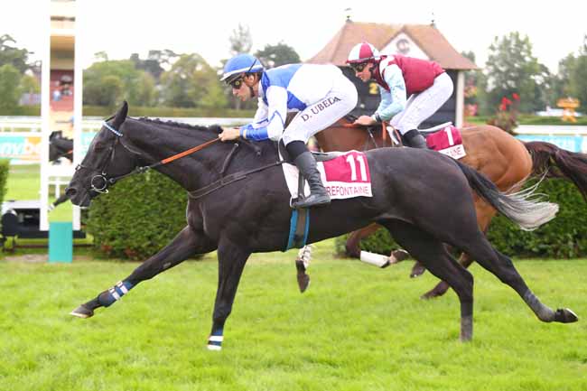Photo d'arrivée de la course pmu PRIX PROMAN HONFLEUR (PRIX CHRISTIAN DE L'HERMITE) à CLAIREFONTAINE le Vendredi 6 septembre 2024