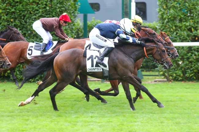 Photo d'arrivée de la course pmu PRIX DE MONTPENSIER à CHANTILLY le Samedi 7 septembre 2024