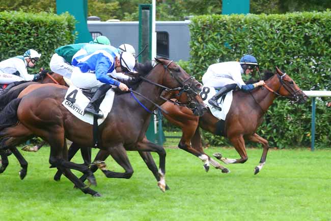 Photo d'arrivée de la course pmu L'EXPRESS à CHANTILLY le Samedi 7 septembre 2024