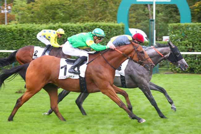 Photo d'arrivée de la course pmu PRIX DE L'HEMICYCLE à CHANTILLY le Samedi 7 septembre 2024