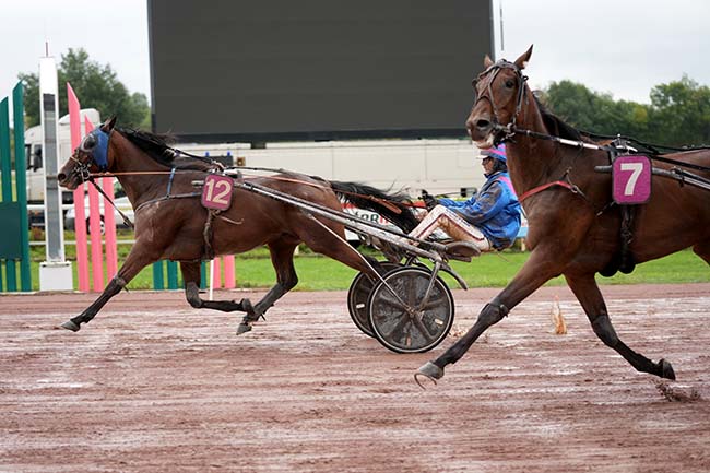 Photo d'arrivée de la course pmu PRIX DE LA PRESSE D'ENDOUMINGUE à BEAUMONT DE LOMAGNE le Lundi 9 septembre 2024