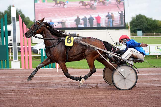 Photo d'arrivée de la course pmu PRIX HIPPODROME DE VICHY à BEAUMONT DE LOMAGNE le Lundi 9 septembre 2024