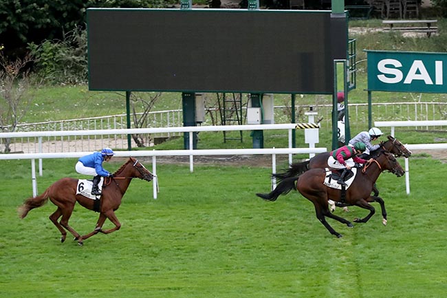 Photo d'arrivée de la course pmu PRIX KALDOUN à SAINT CLOUD le Lundi 9 septembre 2024