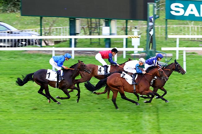 Photo d'arrivée de la course pmu PRIX A TEMPO à SAINT CLOUD le Lundi 9 septembre 2024