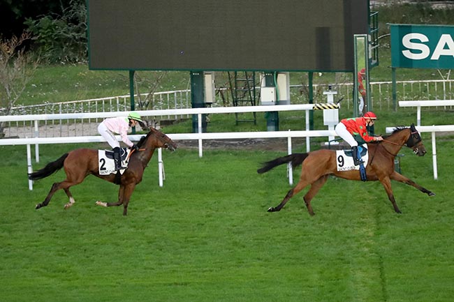 Photo d'arrivée de la course pmu PRIX DE VOISINS à SAINT CLOUD le Lundi 9 septembre 2024