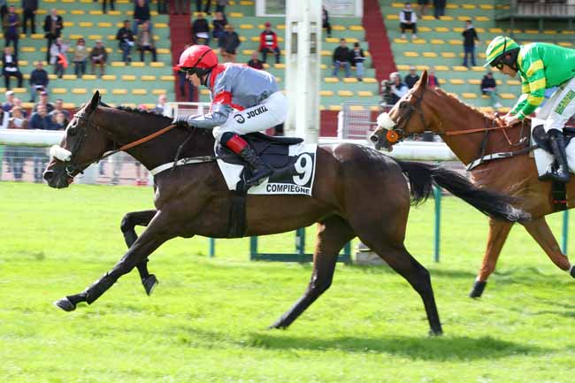 Photo d'arrivée de la course pmu PRIX THE STOMP à COMPIEGNE le Mercredi 11 septembre 2024