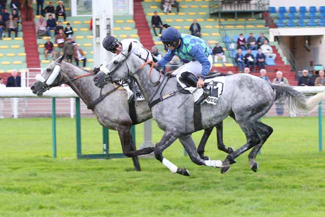 Photo d'arrivée de la course pmu PRIX DE RANVILLE à COMPIEGNE le Mercredi 11 septembre 2024
