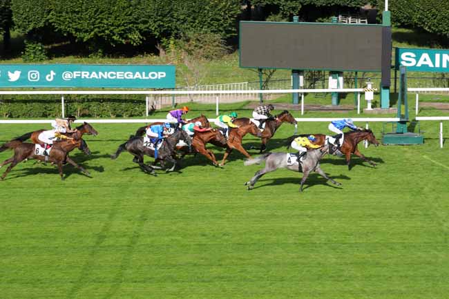Photo d'arrivée de la course pmu PRIX DE L'ETANG DE SAINT-CUCUFA à SAINT CLOUD le Vendredi 13 septembre 2024