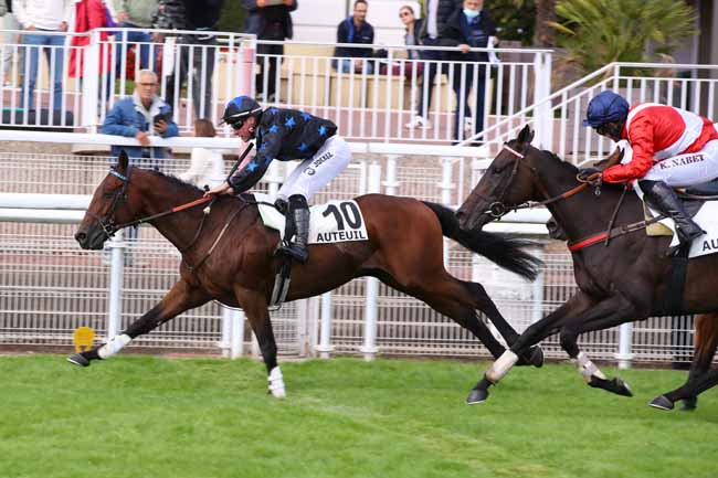 Photo d'arrivée de la course pmu PRIX DE SAINT-ETIENNE-DE-CORCOUE à AUTEUIL le Samedi 14 septembre 2024
