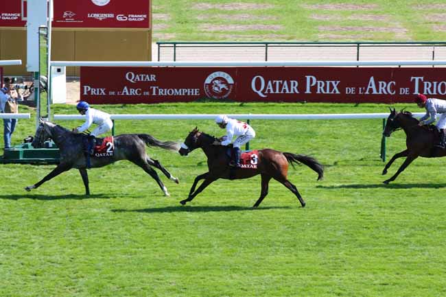 Photo d'arrivée de la course pmu QATAR CUP - PRIX DRAGON à LONGCHAMP le Dimanche 15 septembre 2024