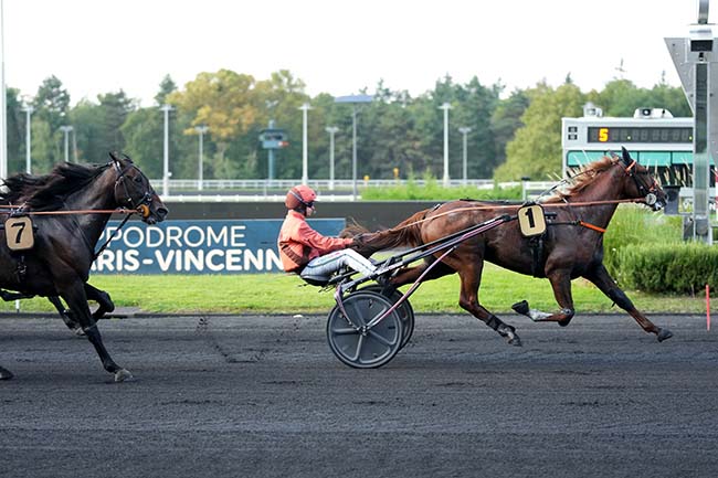 Photo d'arrivée de la course pmu PRIX CENTAURUS à PARIS-VINCENNES le Mardi 17 septembre 2024