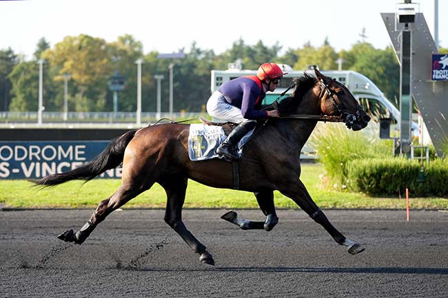 Photo d'arrivée de la course pmu PRIX ENIS à PARIS-VINCENNES le Mardi 17 septembre 2024