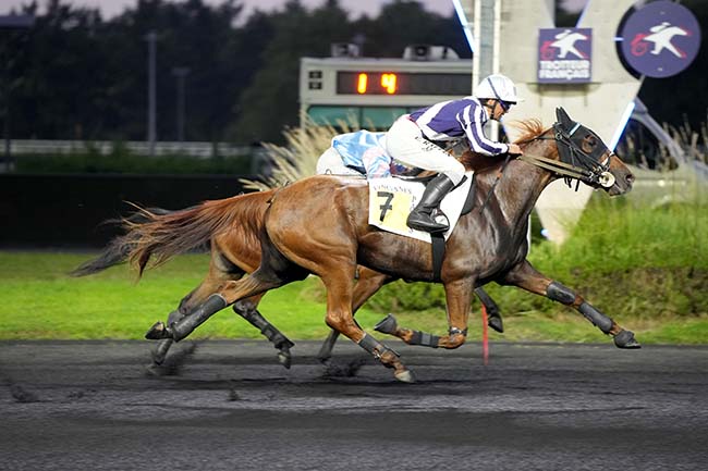 Photo d'arrivée de la course pmu PRIX GOBERTA à PARIS-VINCENNES le Mardi 17 septembre 2024